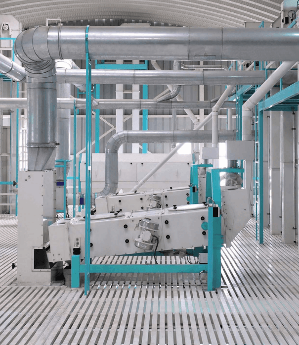 SORTEX optical sorting and cleaning line at our processing facility